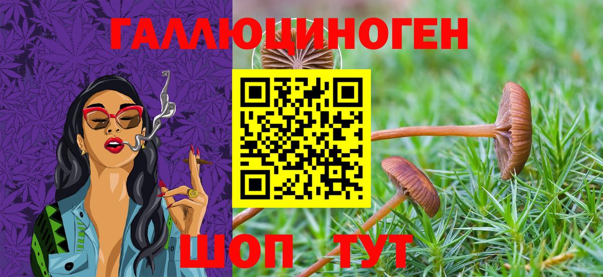 Галлюциногенные грибы Magic Shrooms  Галлюциногенные грибы Cubensis  сколько стоит  Вход с VPN  Дзержинск 
